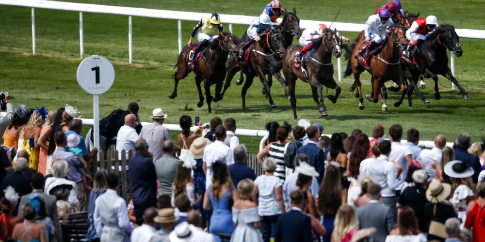 Horse racing betting: Saturday tips for Newmarket, Ascot, York