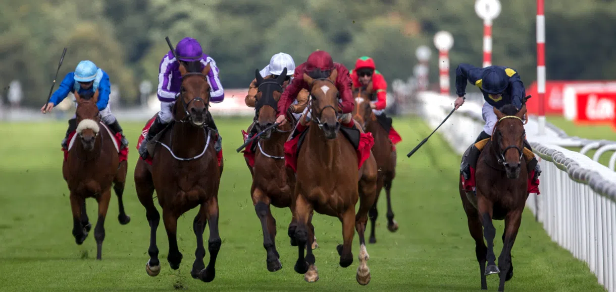 Best bets for day one of the St Leger Festival