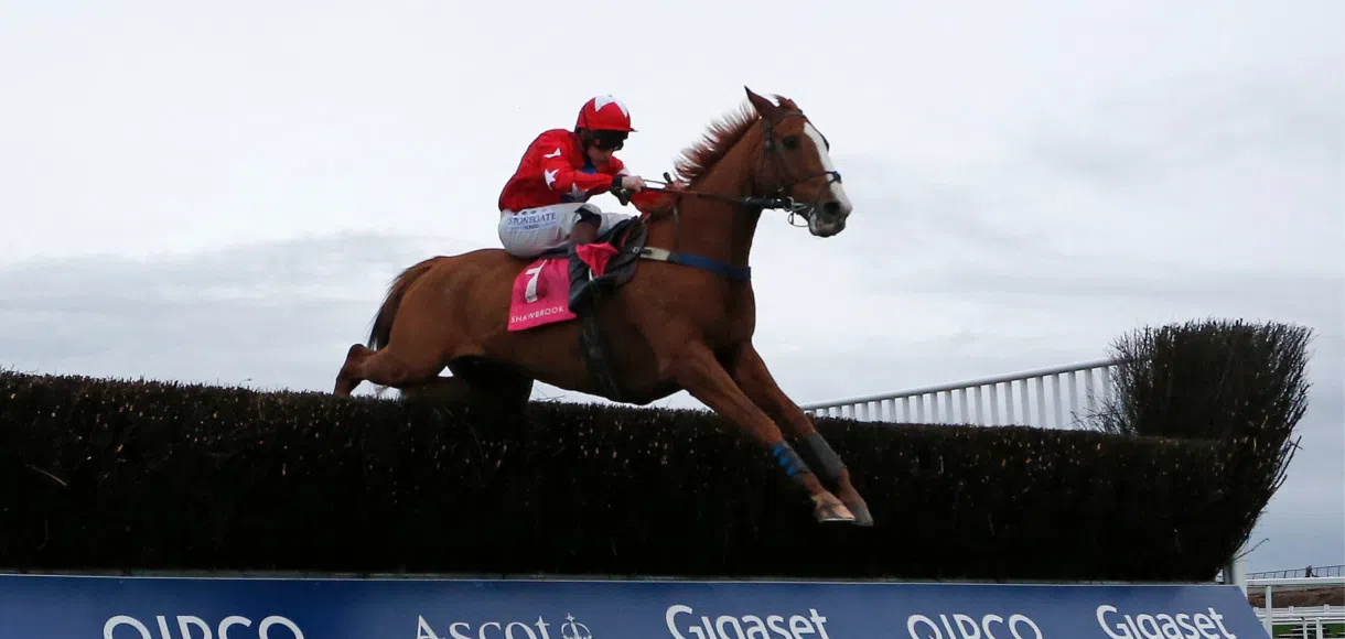 Gary Moore: Sire De Grugy seems fine after Kempton spill