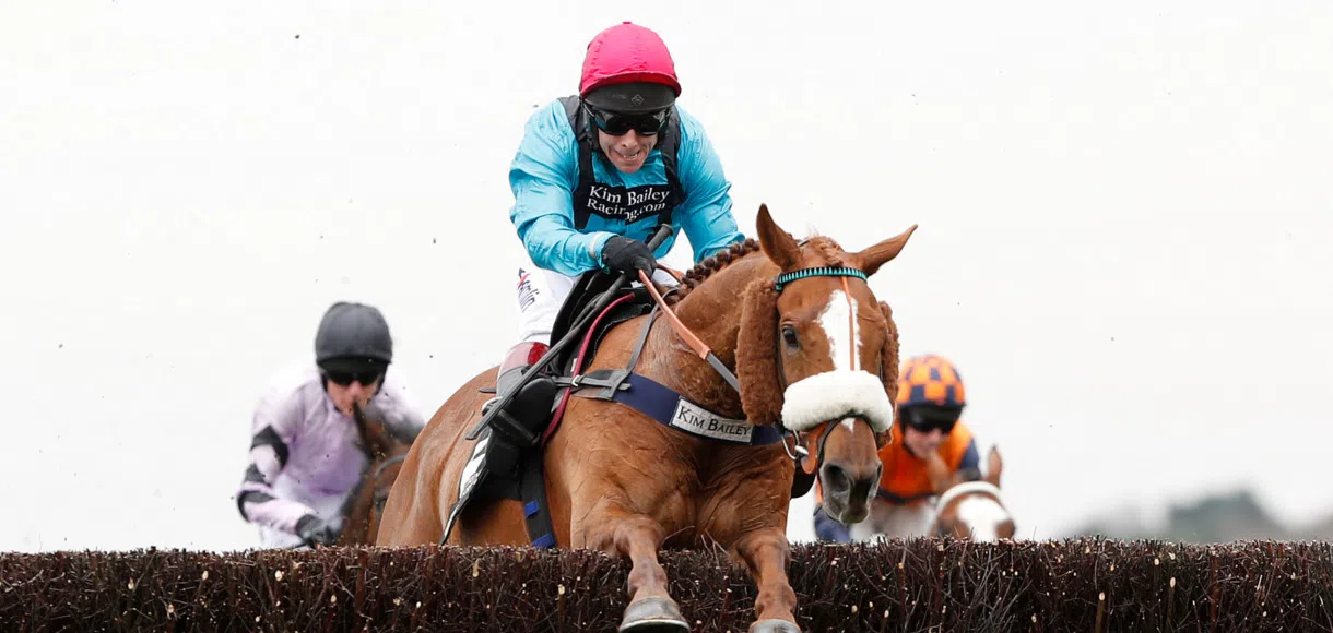 Richard Johnson: Haldon Gold Cup next for maturing Garde La Victoire