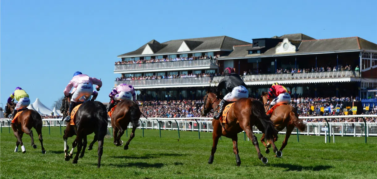 Saturday horse racing tips: Ayr 21 09 19