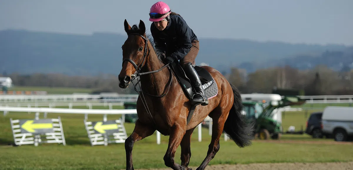 Betway Champion Chase: Un De Sceaux set to fend off previous winners