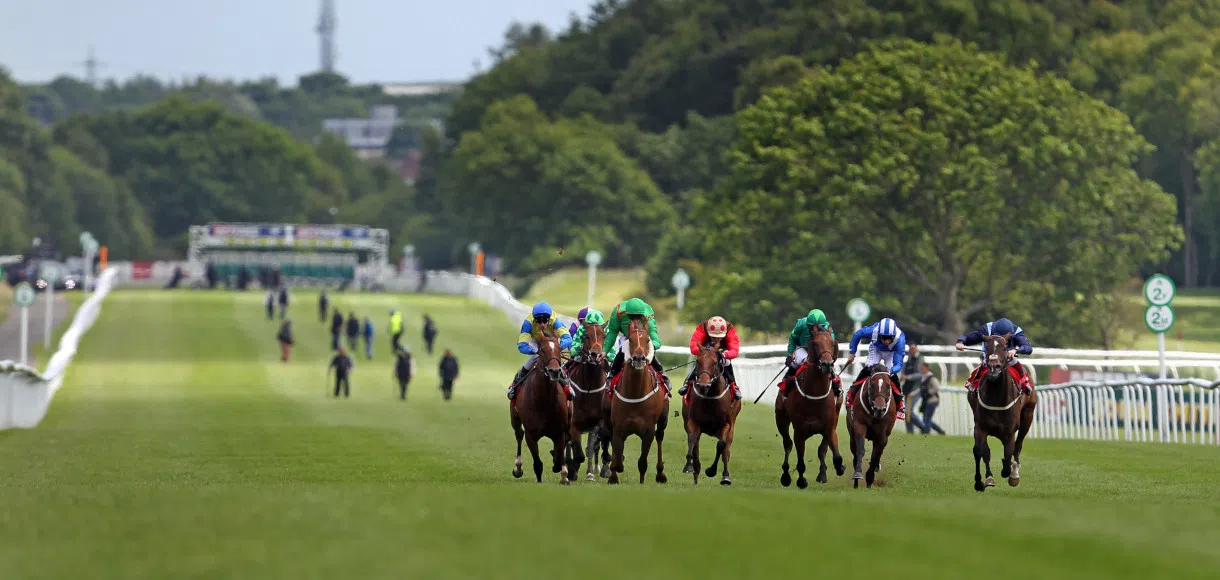 Thursday horse racing tips: Market Rasen, Ludlow and Newcastle 16 01 20