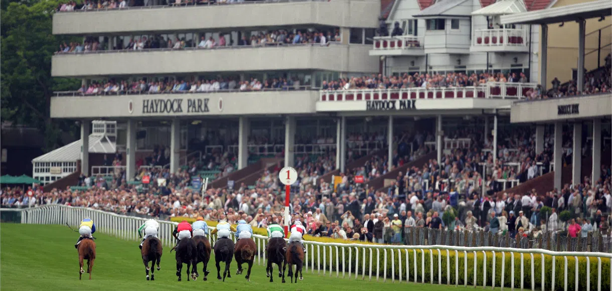 Saturday racing tips: Best bets for Haydock and Ascot 22 11 19