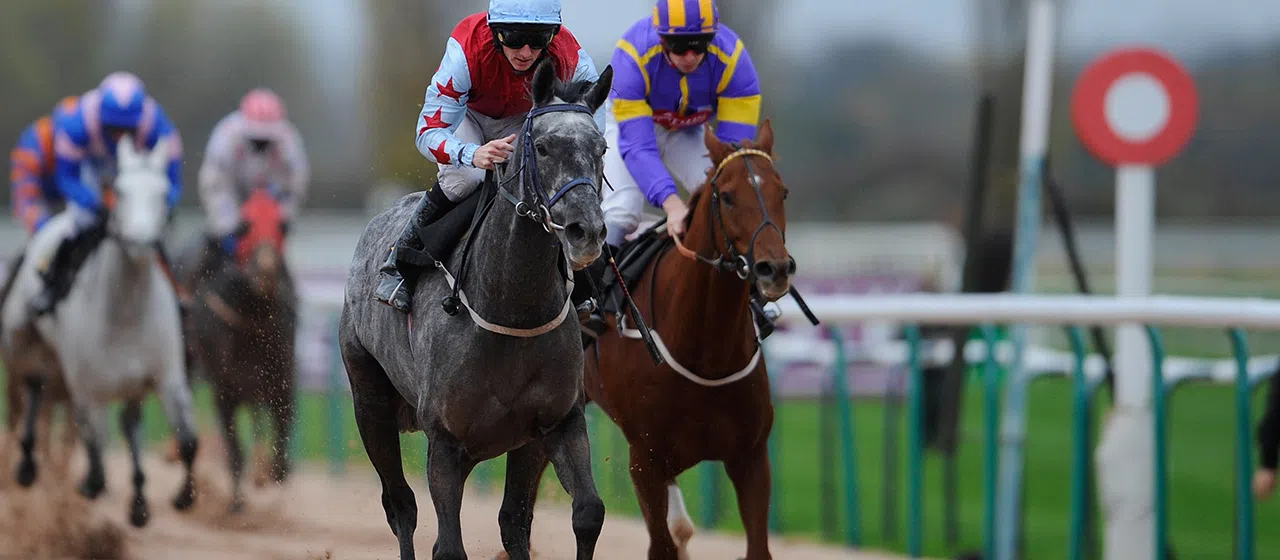 Wednesday racing tip: Southwell, Betway money back, 27 11 19
