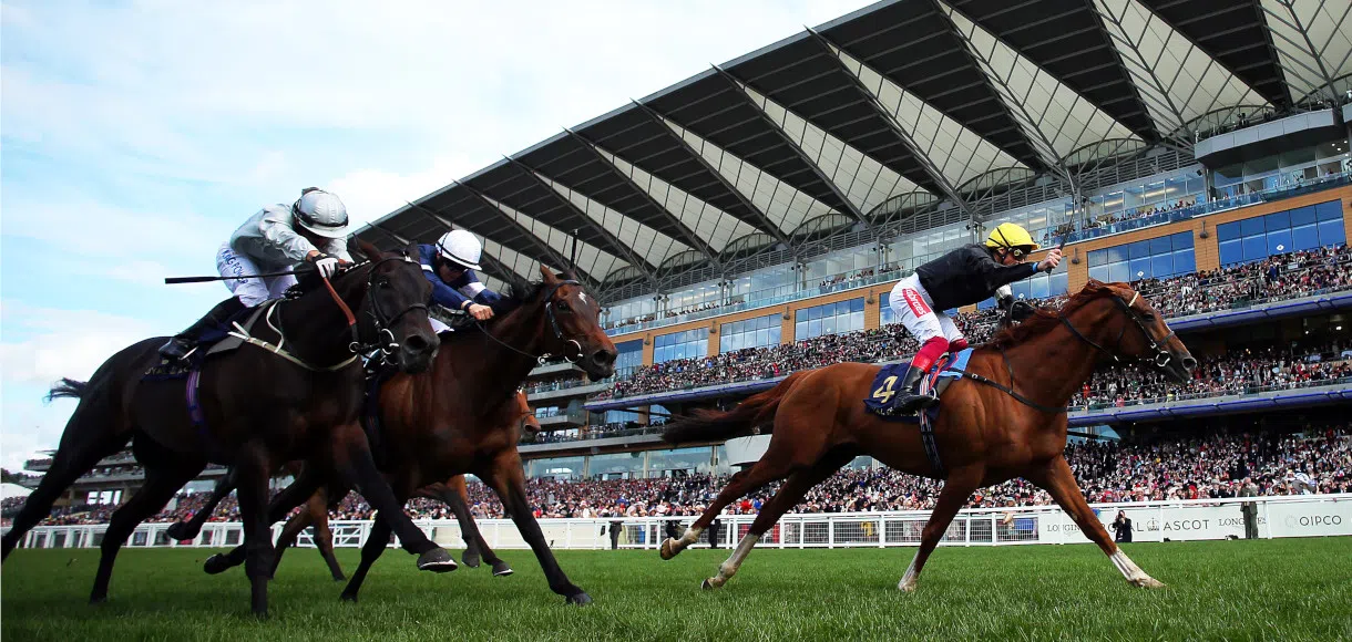 Saturday racing tips for Ascot and Haydock 15 02 20