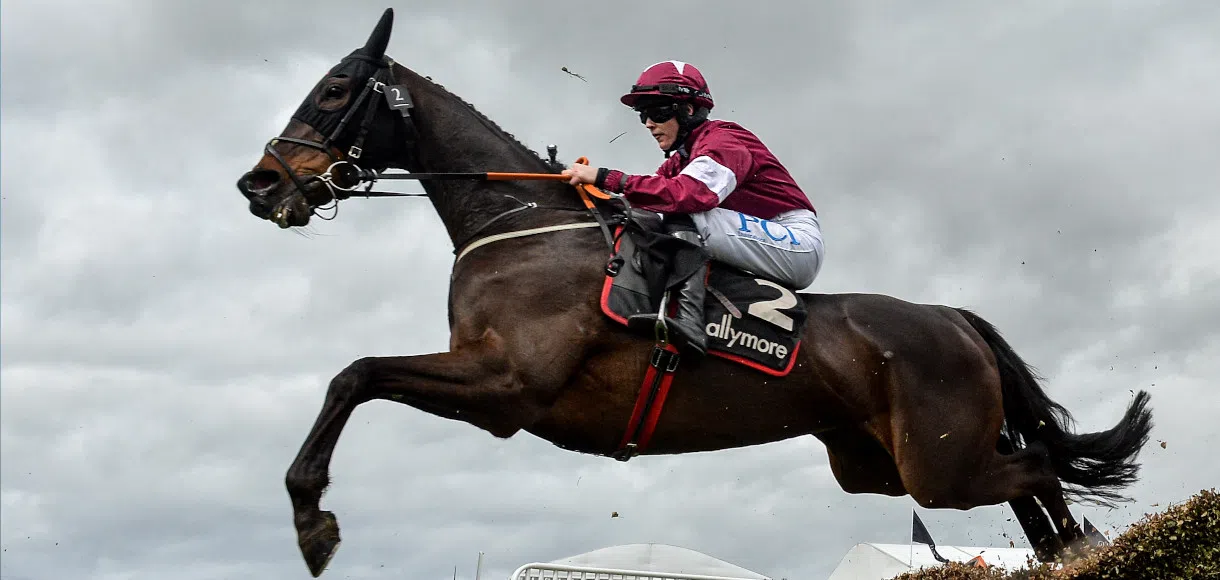 15 horses to follow for the 2020/2021 jump racing season