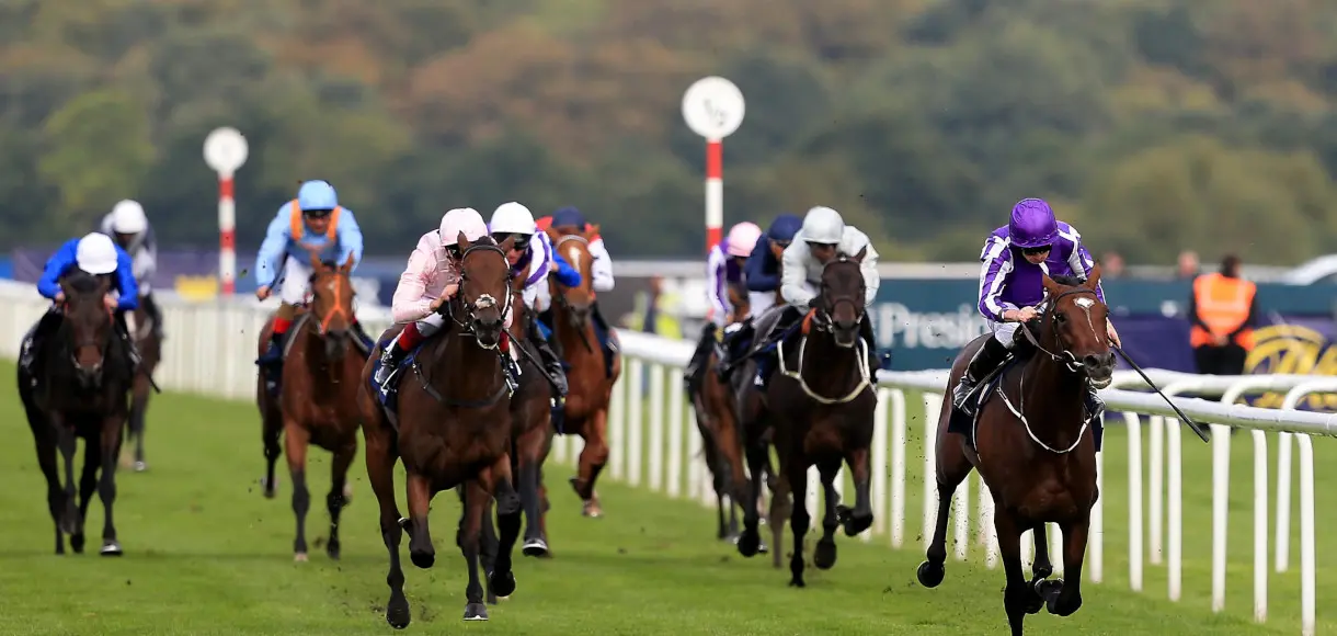 2019 Doncaster St Leger horse racing tips: 14 09 2019