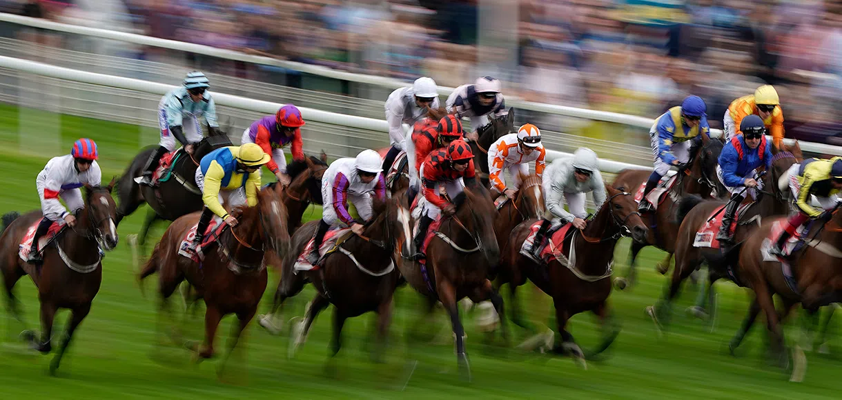 15 horses to follow for the 2020 Flat racing season: Part 3