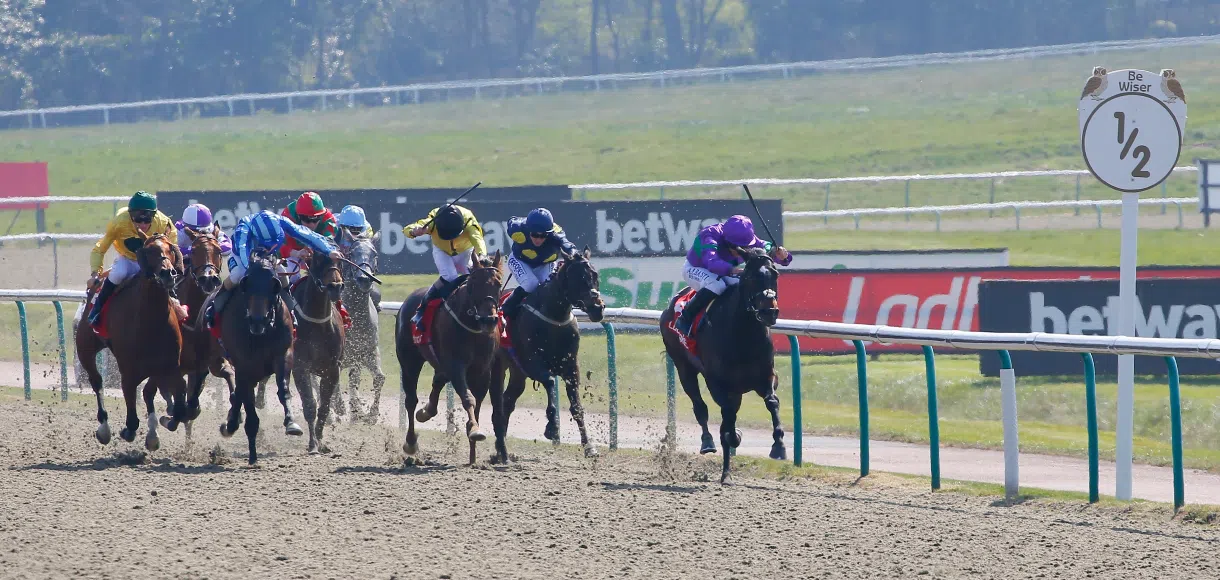 All-Weather Championships racecourses