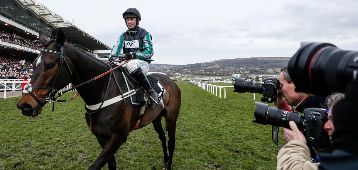 Quiz: How well do you know Altior?