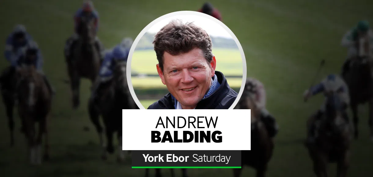Andrew Balding: York Ebor festival runners 22 08 20