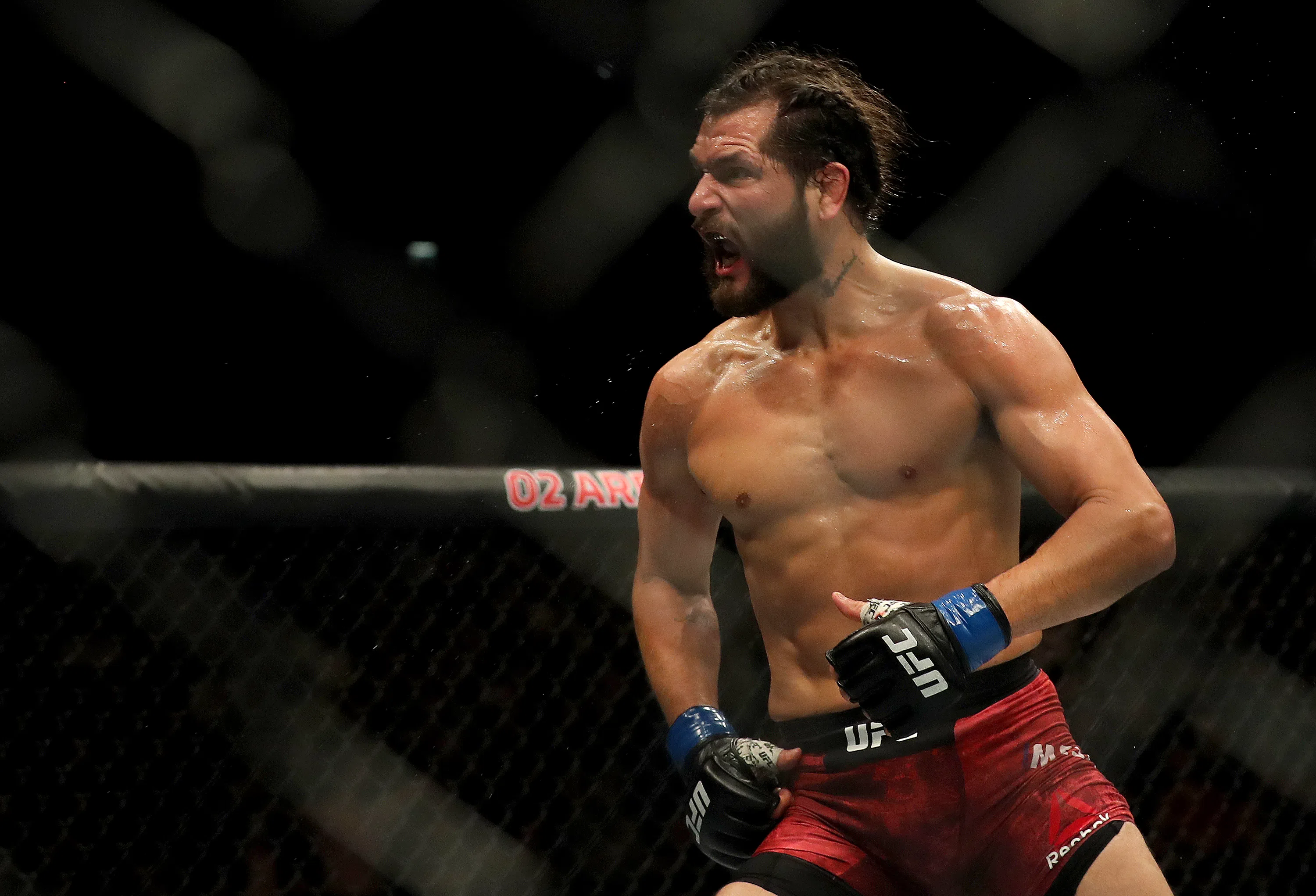 O que esperar do UFC 244