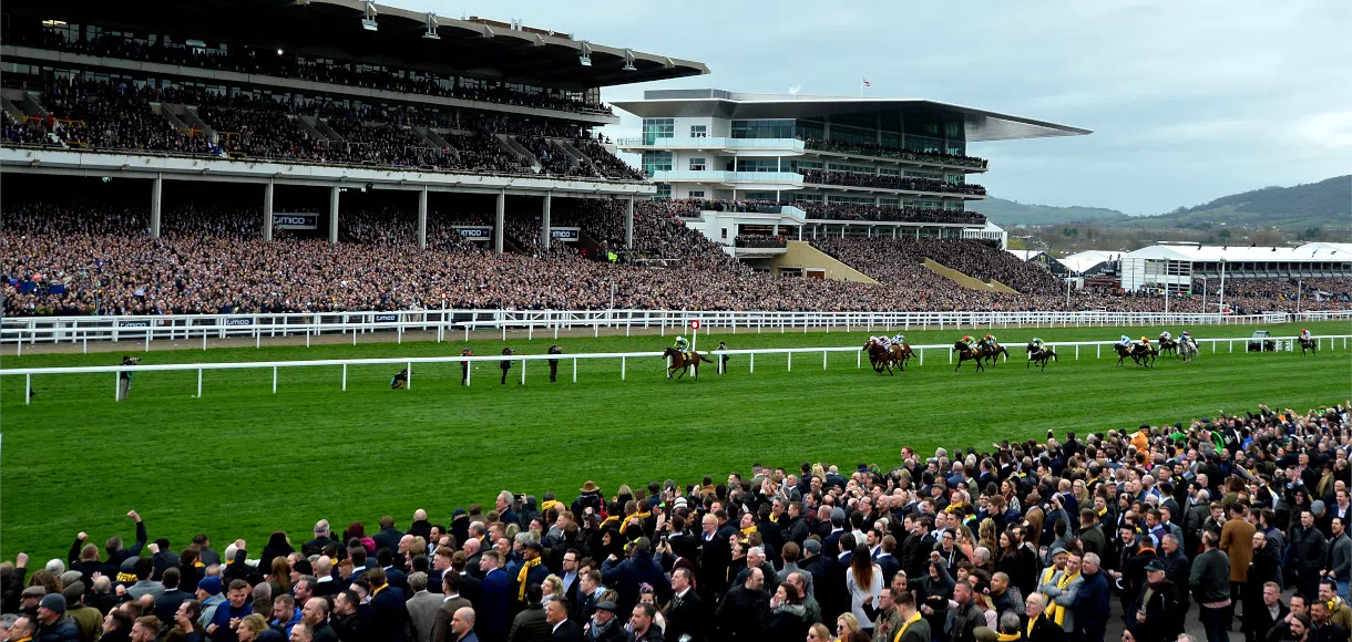 How to bet on the Cheltenham Festival