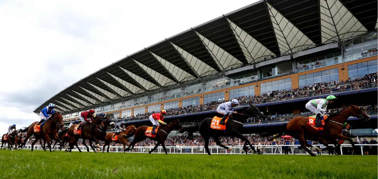 Saturday racing tips: Ascot, Newmarket, Haydock 10 08 19