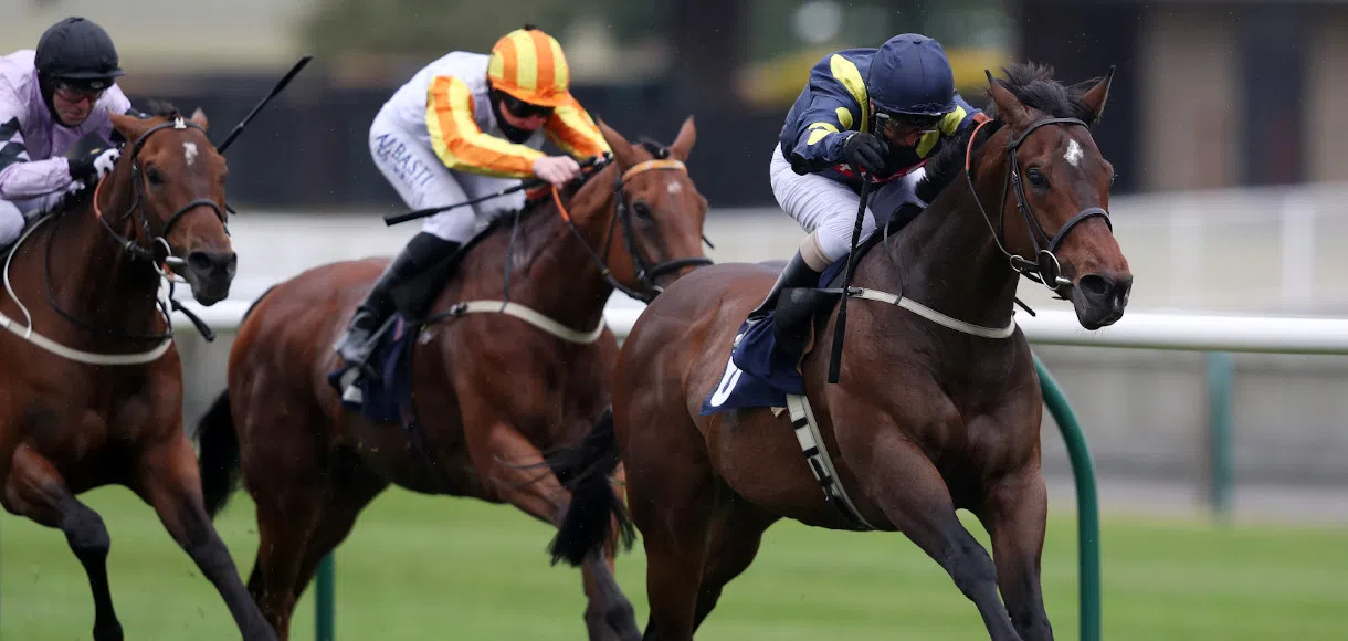 Friday horse racing tips | 5th June 2020
