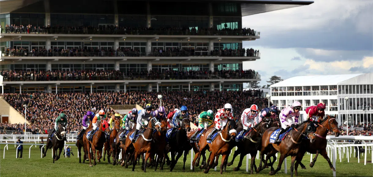 Quiz: How well do you know Cheltenham Festival?