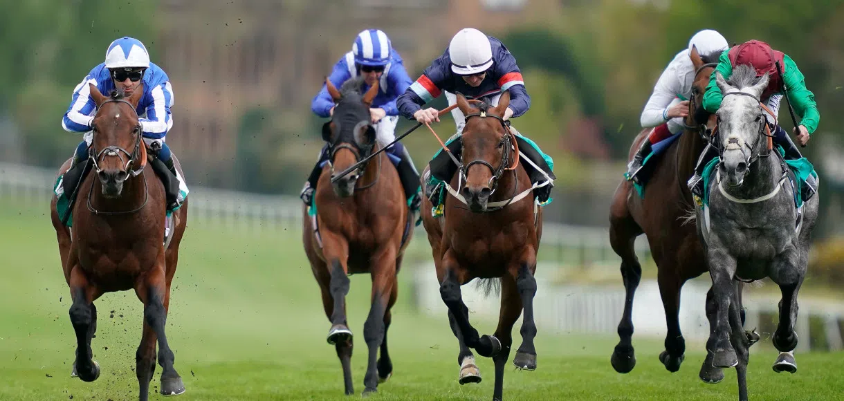 Saturday’s Lucky15 racing tips
