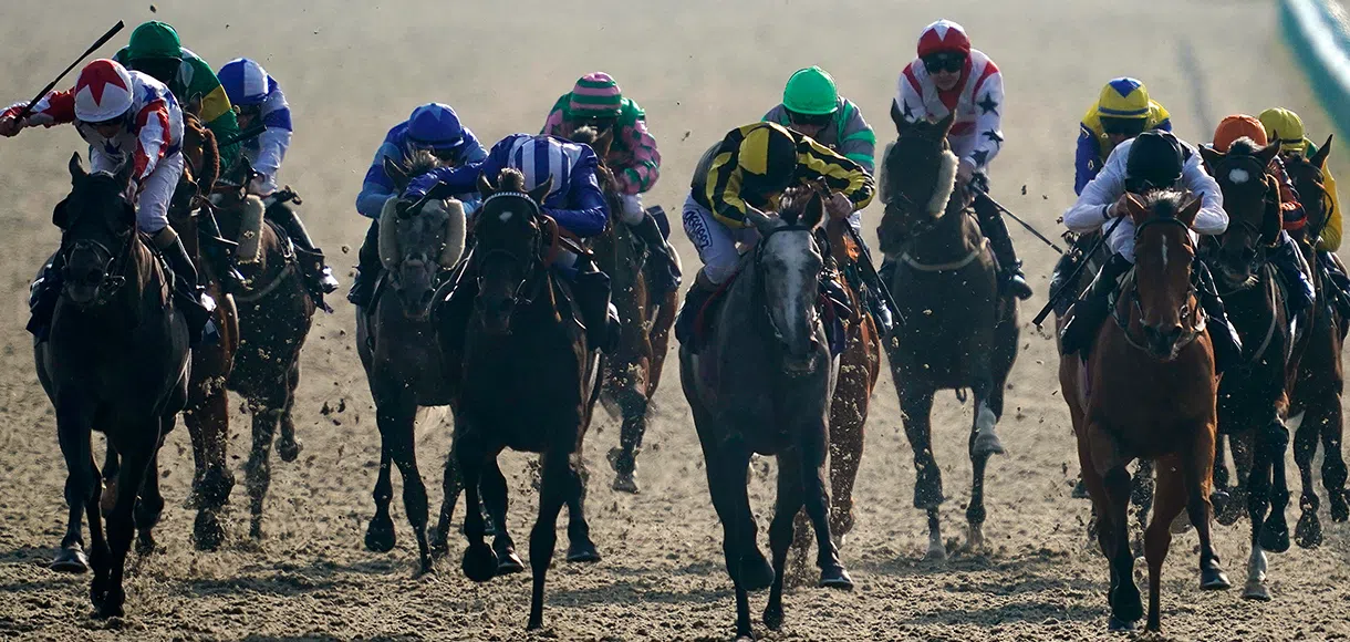 Wednesday horse racing tips: Lingfield 04-12-19, Betway offer