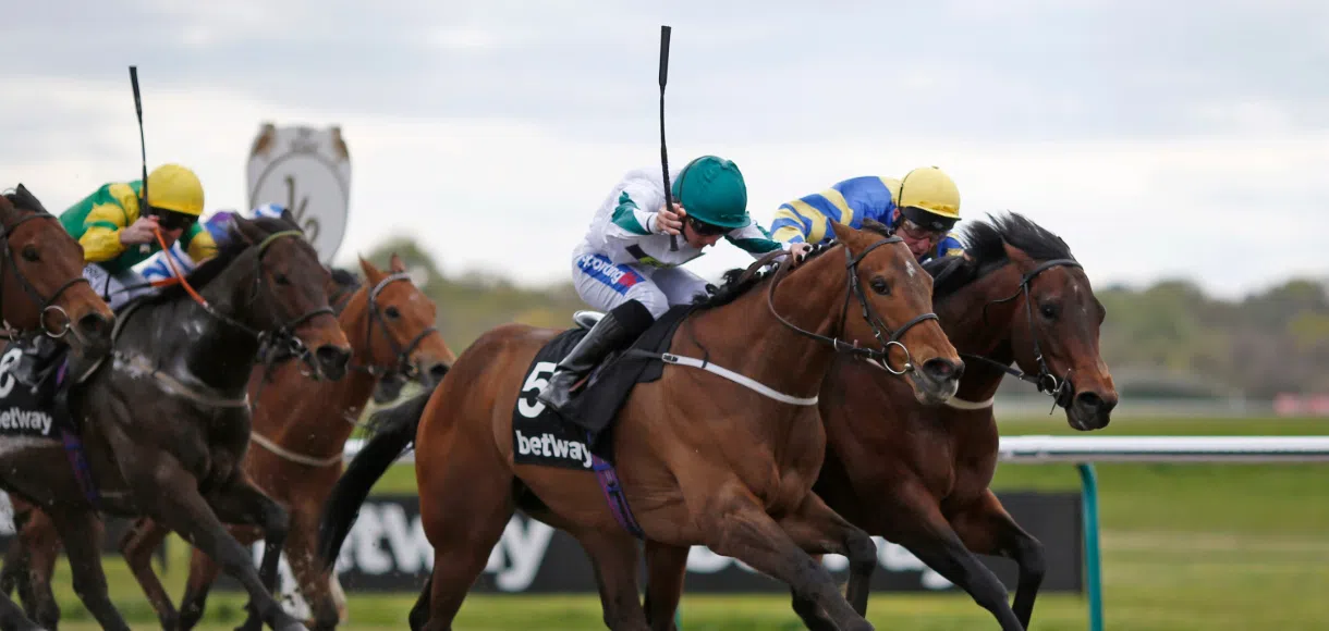 2019/20 All-Weather Championships preview: How it works