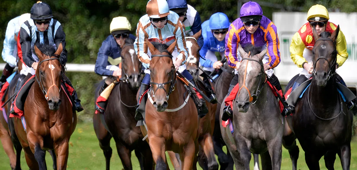 15 horses to follow for the 2020 Flat racing season: Part 1