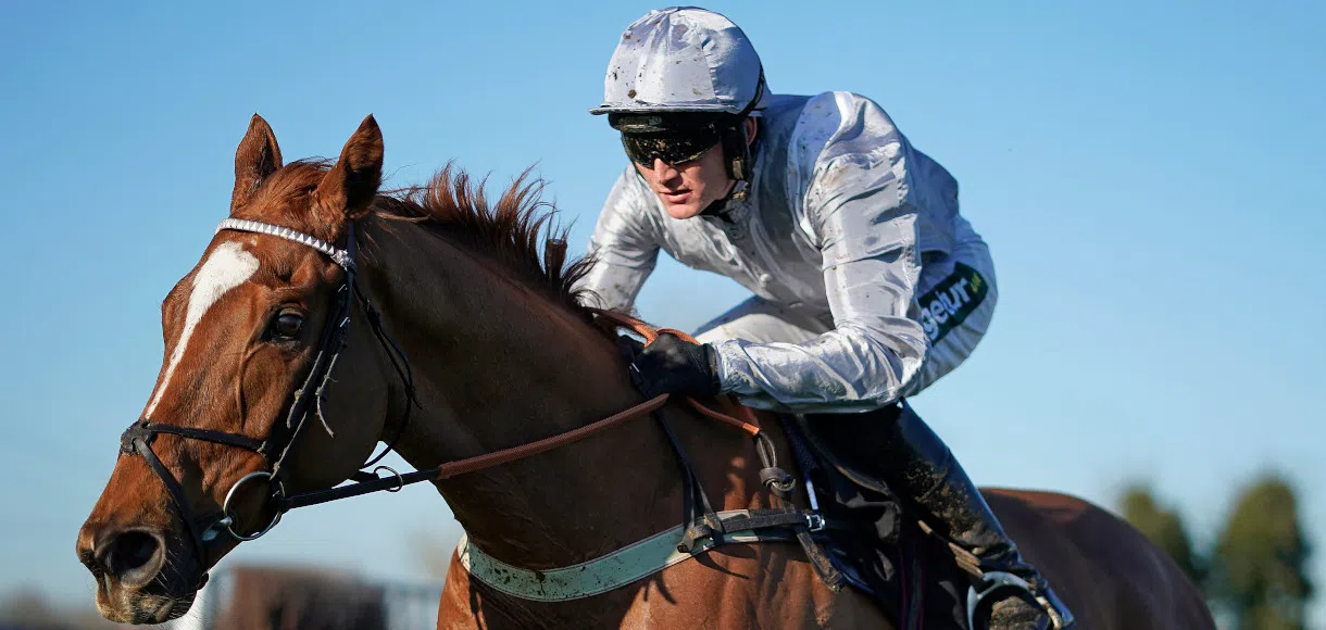 Cheltenham Festival 2020: Horses to watch next season
