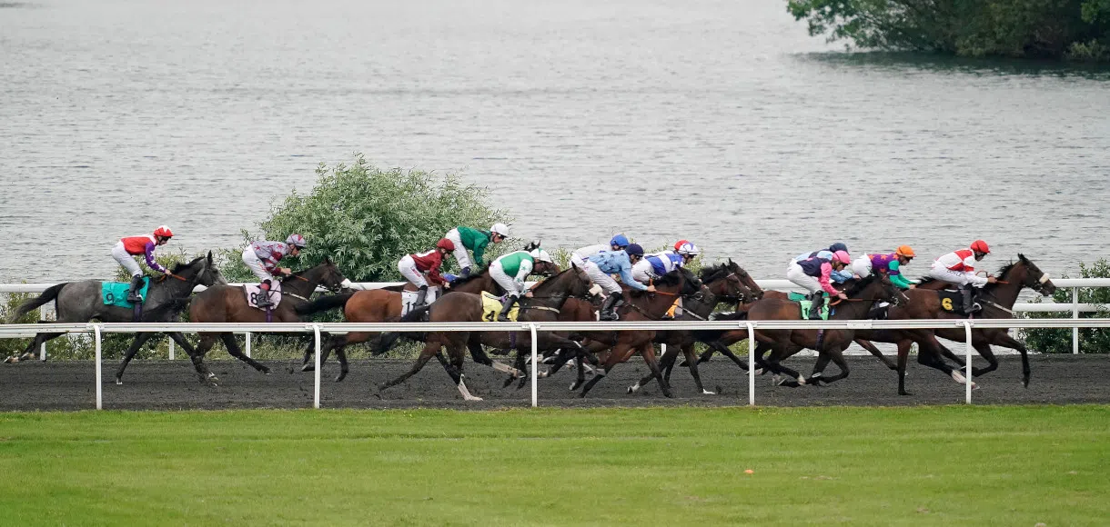Saturday horse racing tips 16 January 2021