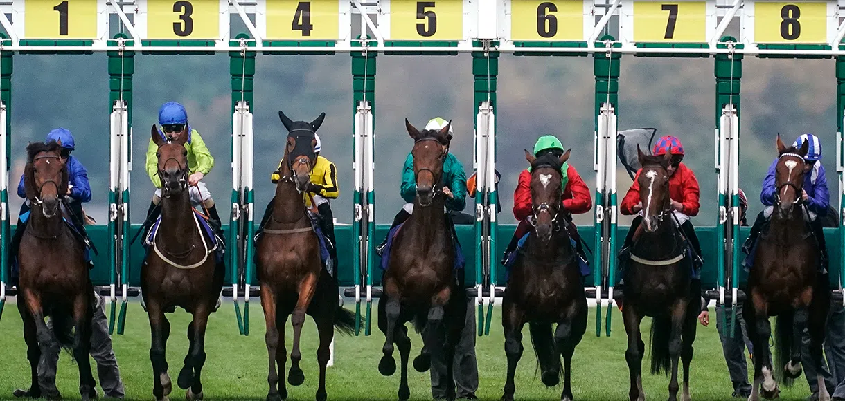 15 horses to follow for the 2020 Flat racing season: Part 2