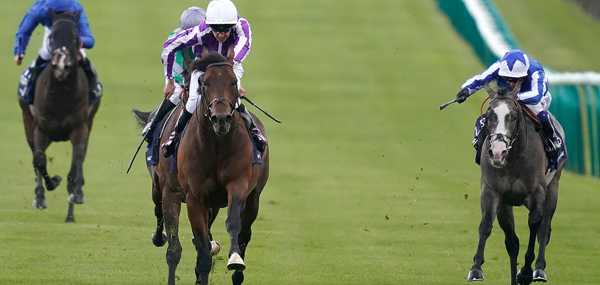 Saturday racing tips: Goodwood, Curragh, Haydock 25 05 19