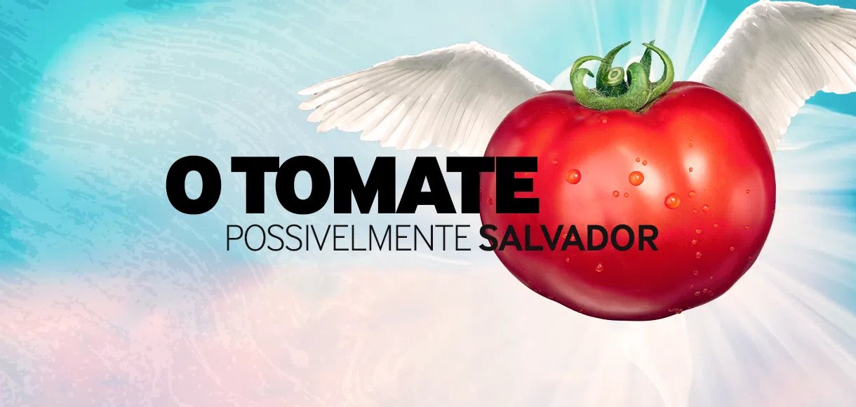 Como um tomate editado geneticamente pode salvar a humanidade