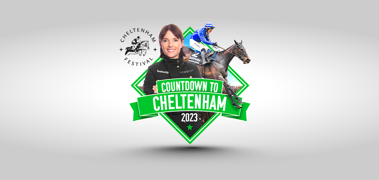 What is Countdown to Cheltenham and how does it work?