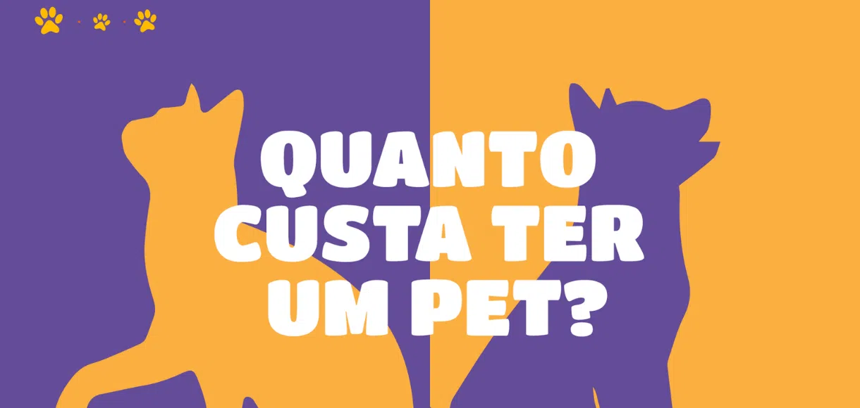 Afinal, quanto custa ter um gato ou um cachorro?