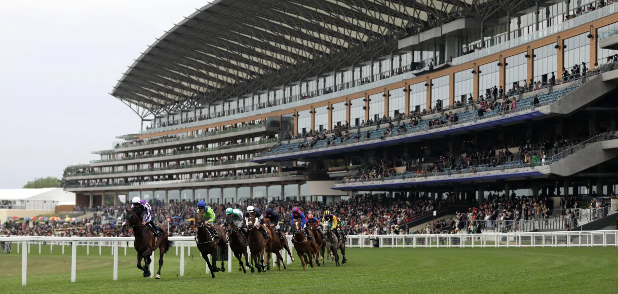 Royal Ascot Free Bet Competition