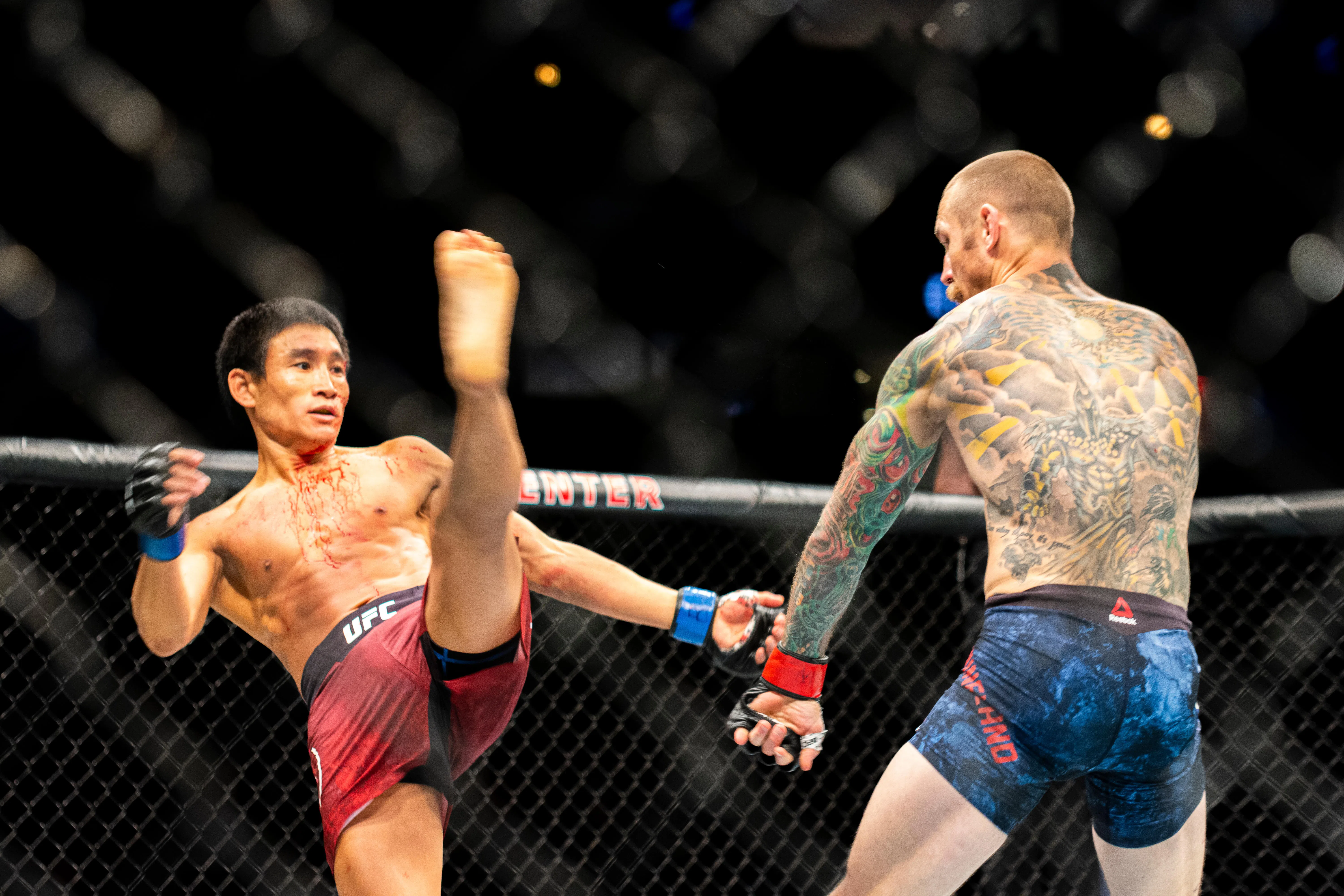 Deportistas que han estado en la UFC y en la lucha libre