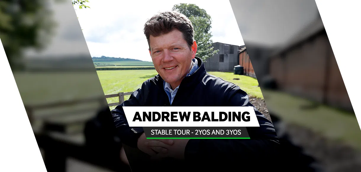 Andrew Balding stable tour: Two-year-olds and three-year-olds