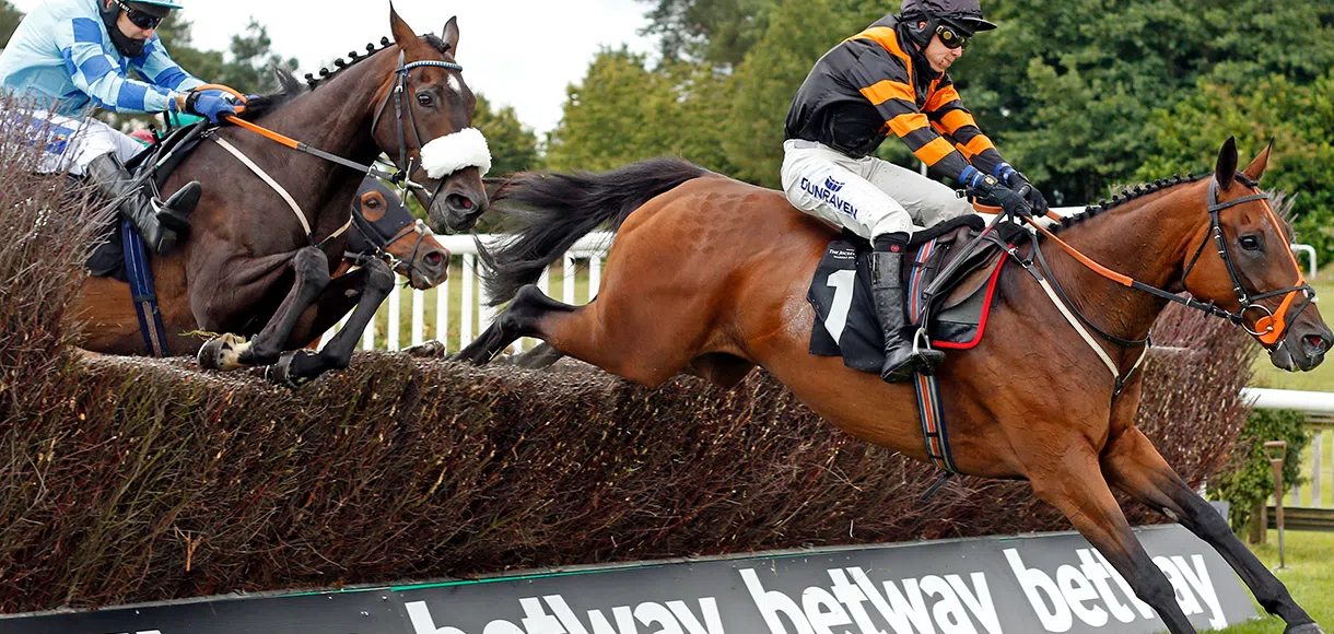 Saturday horse racing tips for Market Rasen 17 07 21