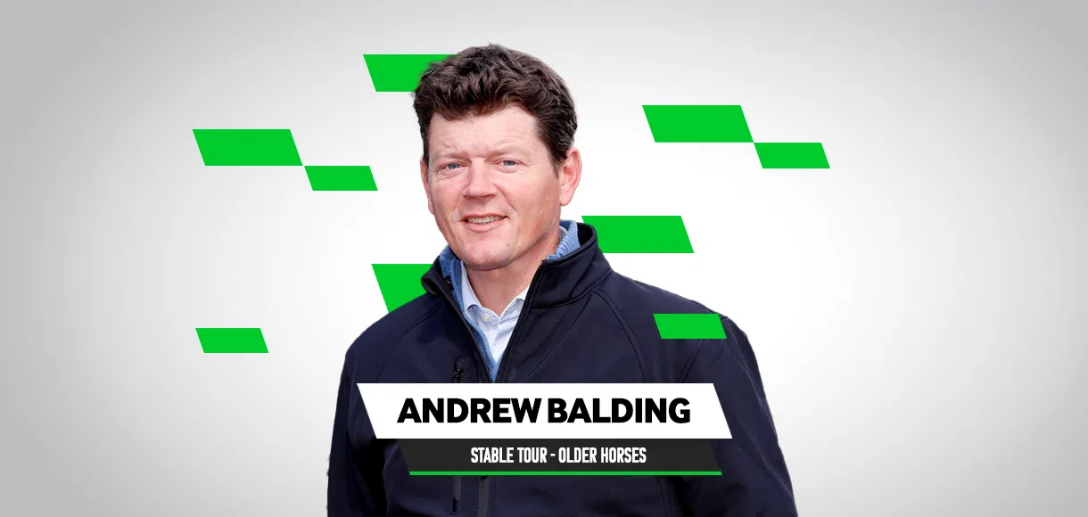 Andrew Balding stable tour 2022: The older horses