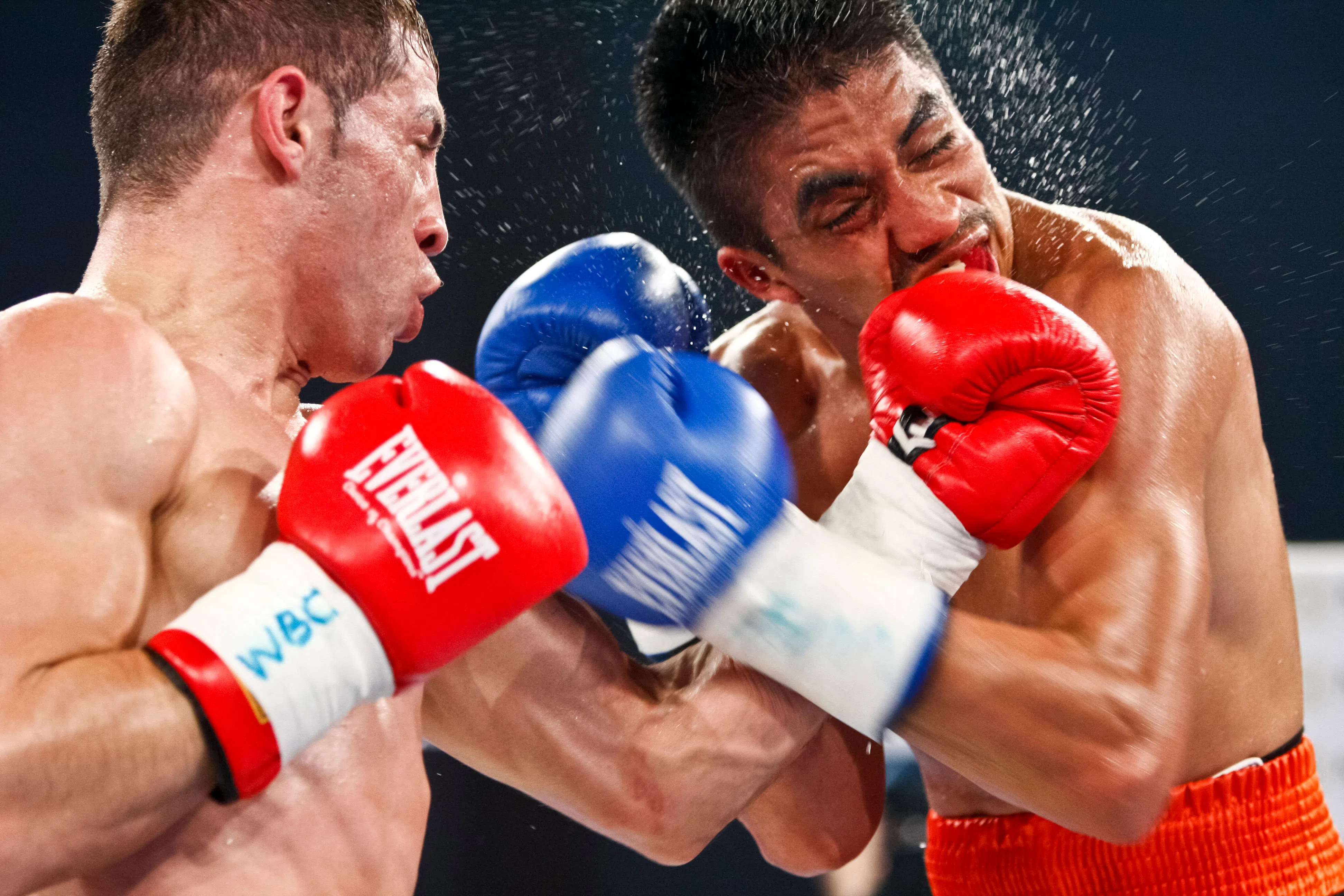 Como entender y conocer mas sobre box