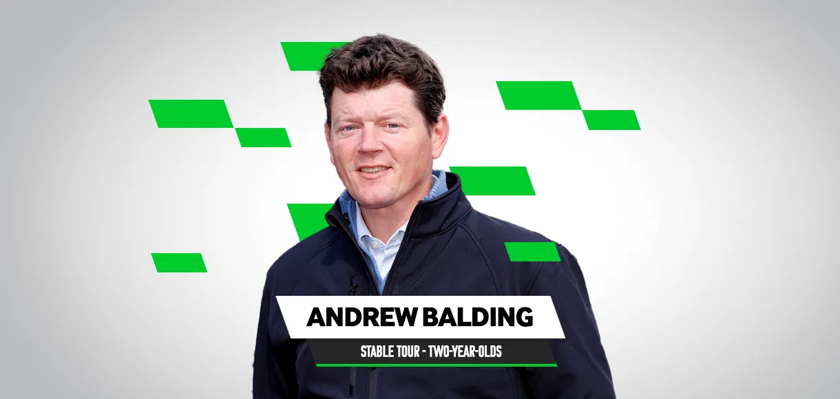 Andrew Balding stable tour 2022: Two-year-olds