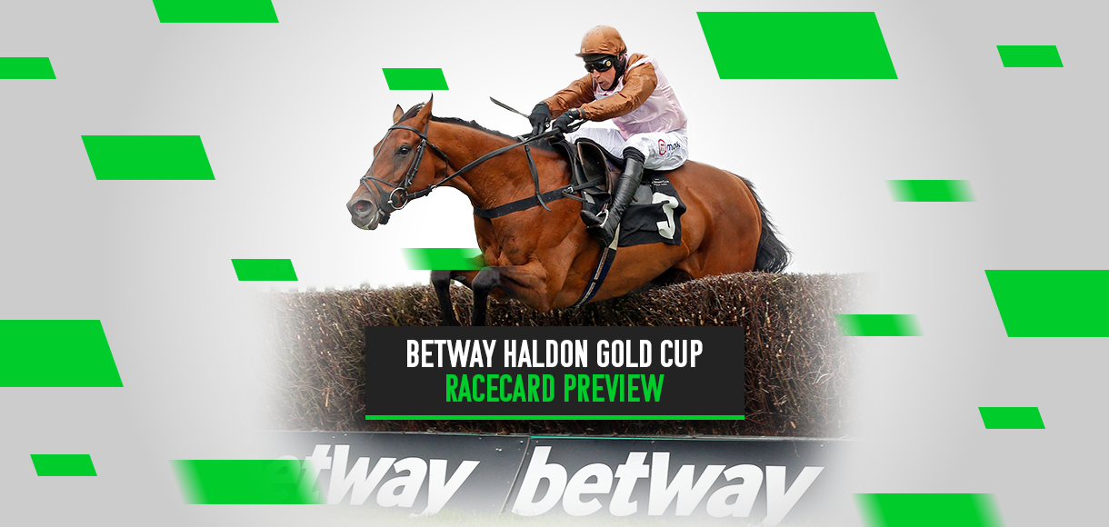 Betway Haldon Gold Cup Racecard Preview 04 11 22