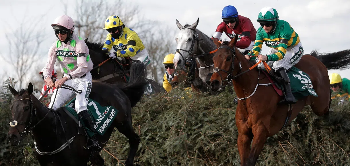 Grand National Horse Picker Competition Terms