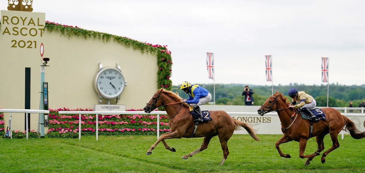 5 horses to follow after being beaten at Royal Ascot 2021