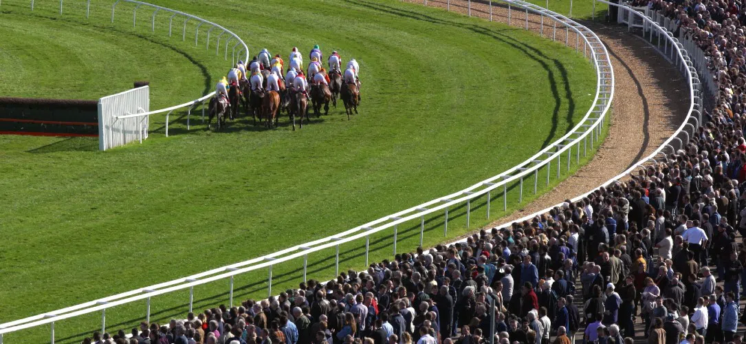 Cheltenham Festival records and stats