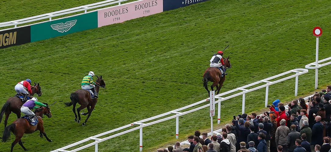 Cheltenham Coral Cup previous winners