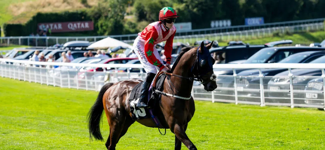 Sean Bowen jockey profile and stats