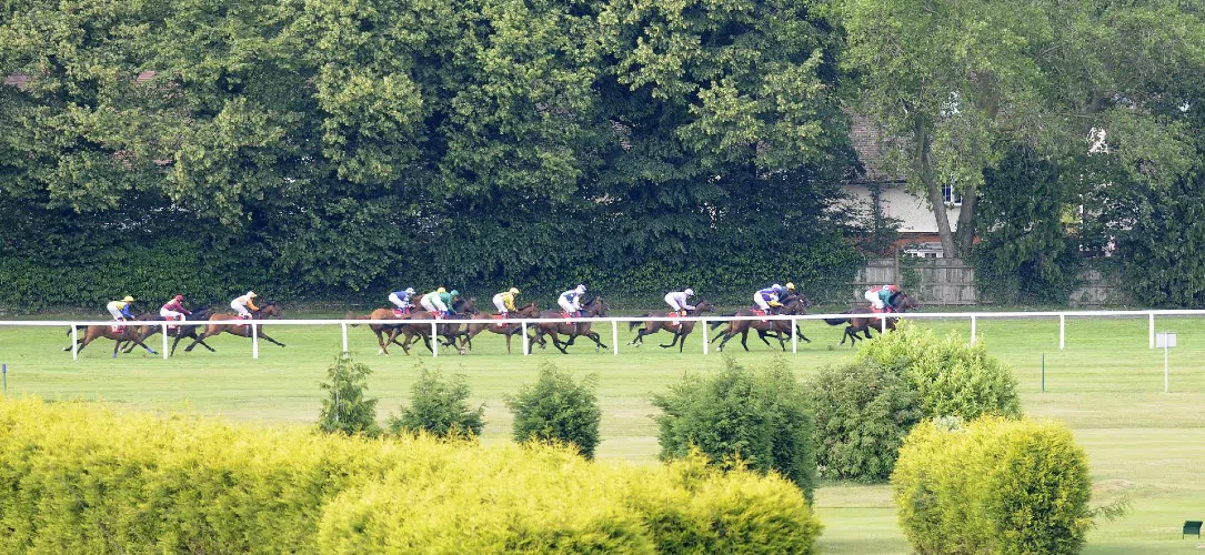 Tingle Creek Christmas Festival Preview