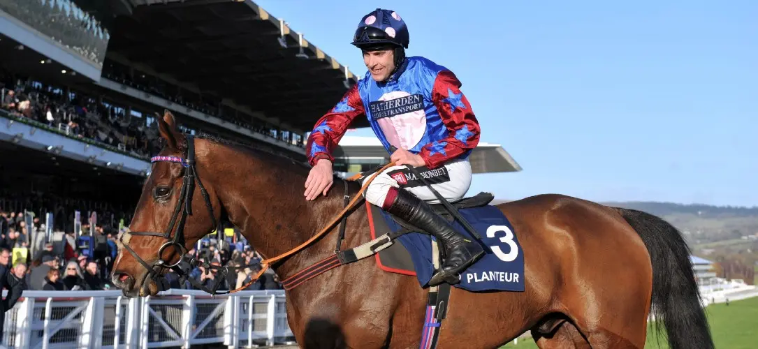 Aidan Coleman: Paisley Park gave me my greatest Cheltenham moment