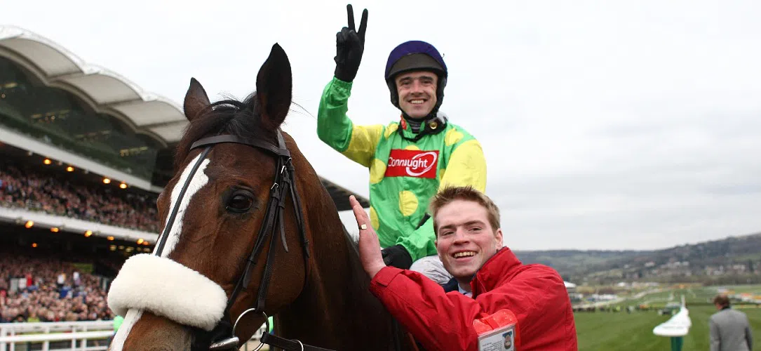 Which jockeys have the most Cheltenham wins?