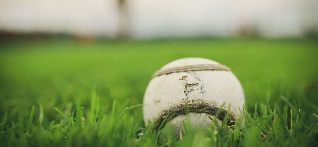 Shane Stapleton: All-Ireland hurling quarter-final preview