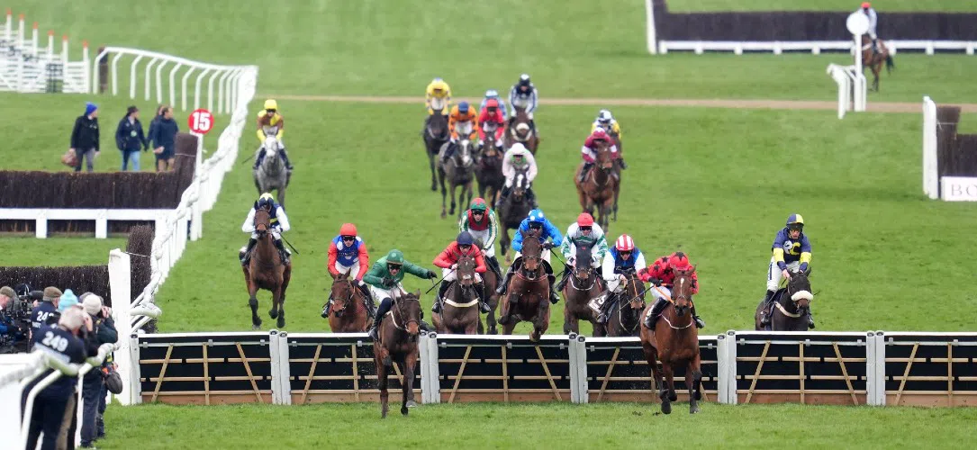 A history of Albert Bartlett Novices’ Hurdle winners